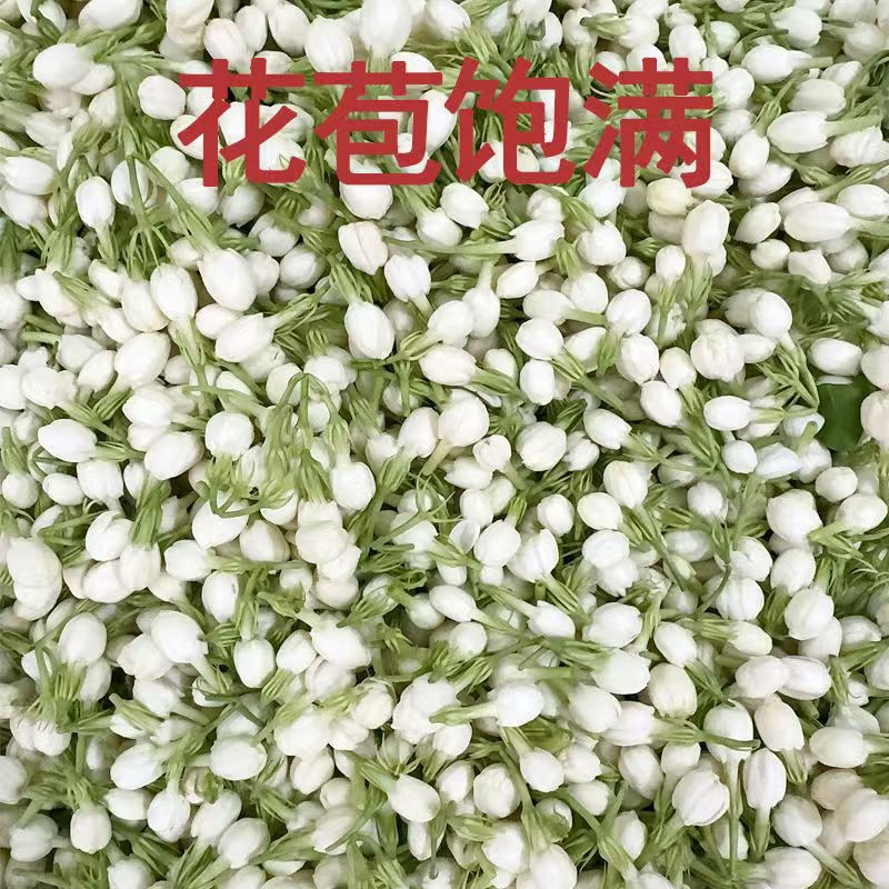New Natural 100g Jasmine Dried - Soap Making Raw Material incelemesi ve fiyatı